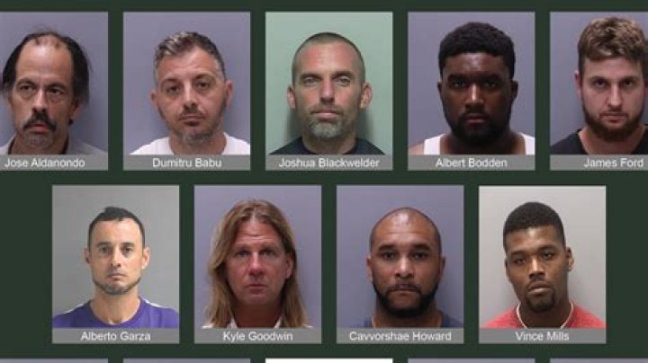 Annika Olson Arrest And Mugshot | Florida Woman In Jail