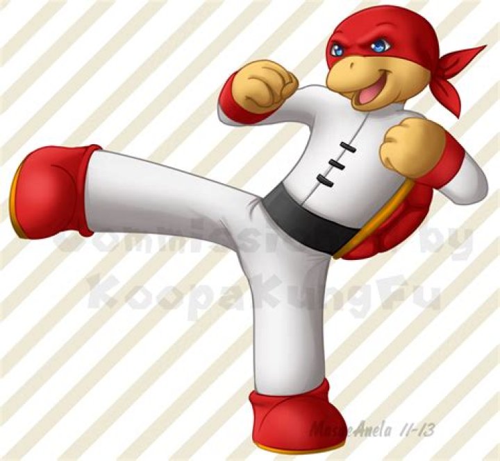 KoopaKungFu